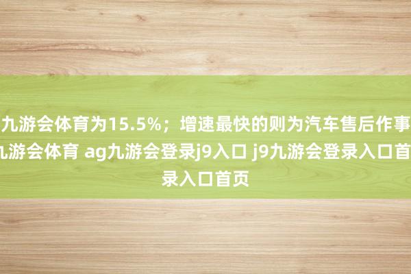 九游会体育为15.5%；增速最快的则为汽车售后作事-九游会体育 ag九游会登录j9入口 j9九游会登录入口首页