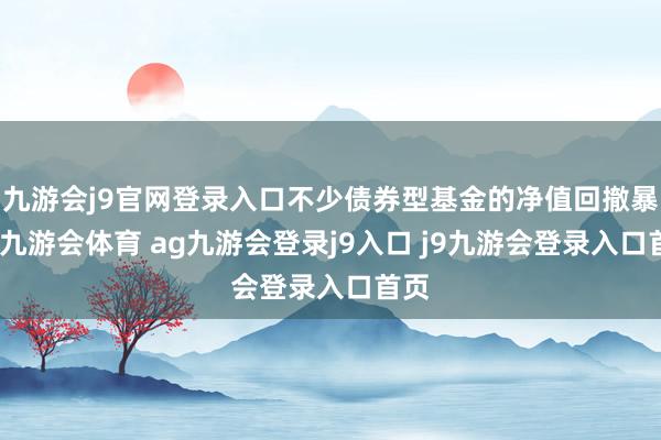 九游会j9官网登录入口不少债券型基金的净值回撤暴露-九游会体育 ag九游会登录j9入口 j9九游会登录入口首页