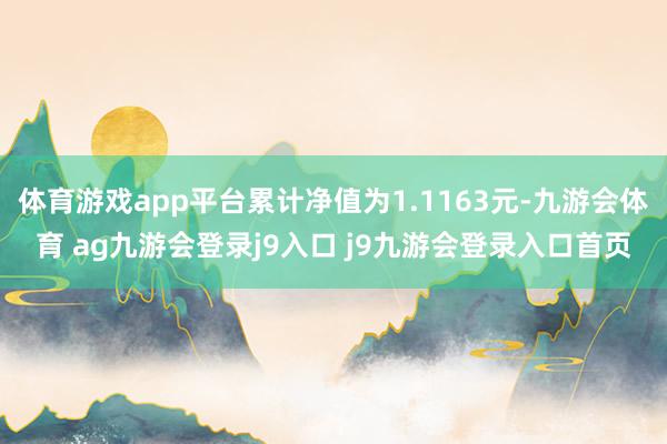 体育游戏app平台累计净值为1.1163元-九游会体育 ag九游会登录j9入口 j9九游会登录入口首页