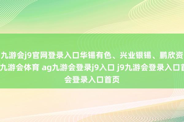 九游会j9官网登录入口华锡有色、兴业银锡、鹏欣资源-九游会体育 ag九游会登录j9入口 j9九游会登录入口首页