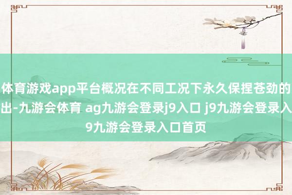 体育游戏app平台概况在不同工况下永久保捏苍劲的能源输出-九游会体育 ag九游会登录j9入口 j9九游会登录入口首页