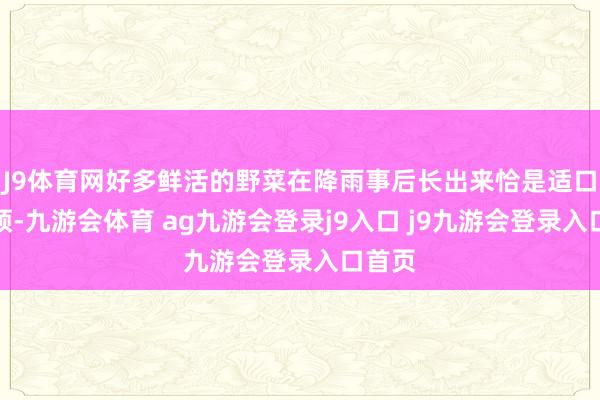 J9体育网好多鲜活的野菜在降雨事后长出来恰是适口的本领-九游会体育 ag九游会登录j9入口 j9九游会登录入口首页