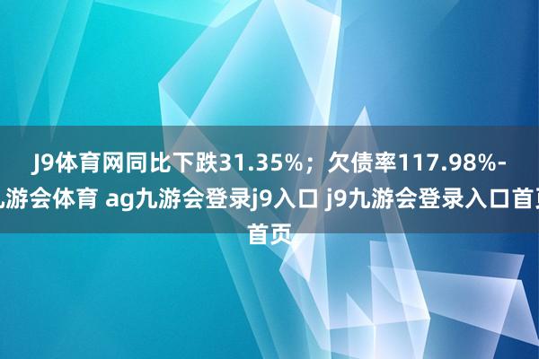 J9体育网同比下跌31.35%；欠债率117.98%-九游会体育 ag九游会登录j9入口 j9九游会登录入口首页