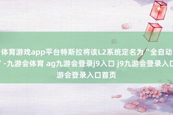 体育游戏app平台特斯拉将该L2系统定名为“全自动驾驶”-九游会体育 ag九游会登录j9入口 j9九游会登录入口首页
