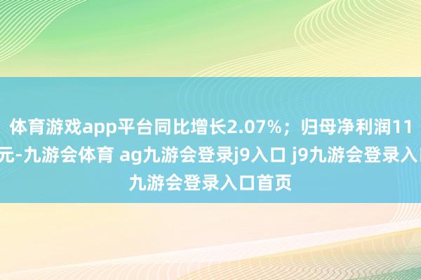 体育游戏app平台同比增长2.07%；归母净利润11.87亿元-九游会体育 ag九游会登录j9入口 j9九游会登录入口首页
