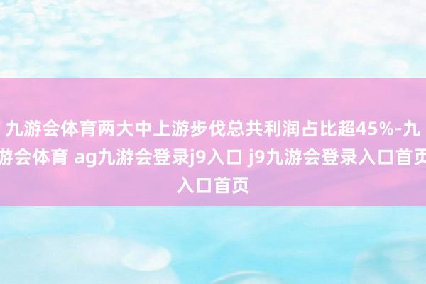 九游会体育两大中上游步伐总共利润占比超45%-九游会体育 ag九游会登录j9入口 j9九游会登录入口首页